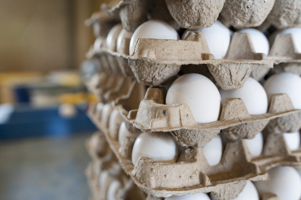 eggs stacked in cartons