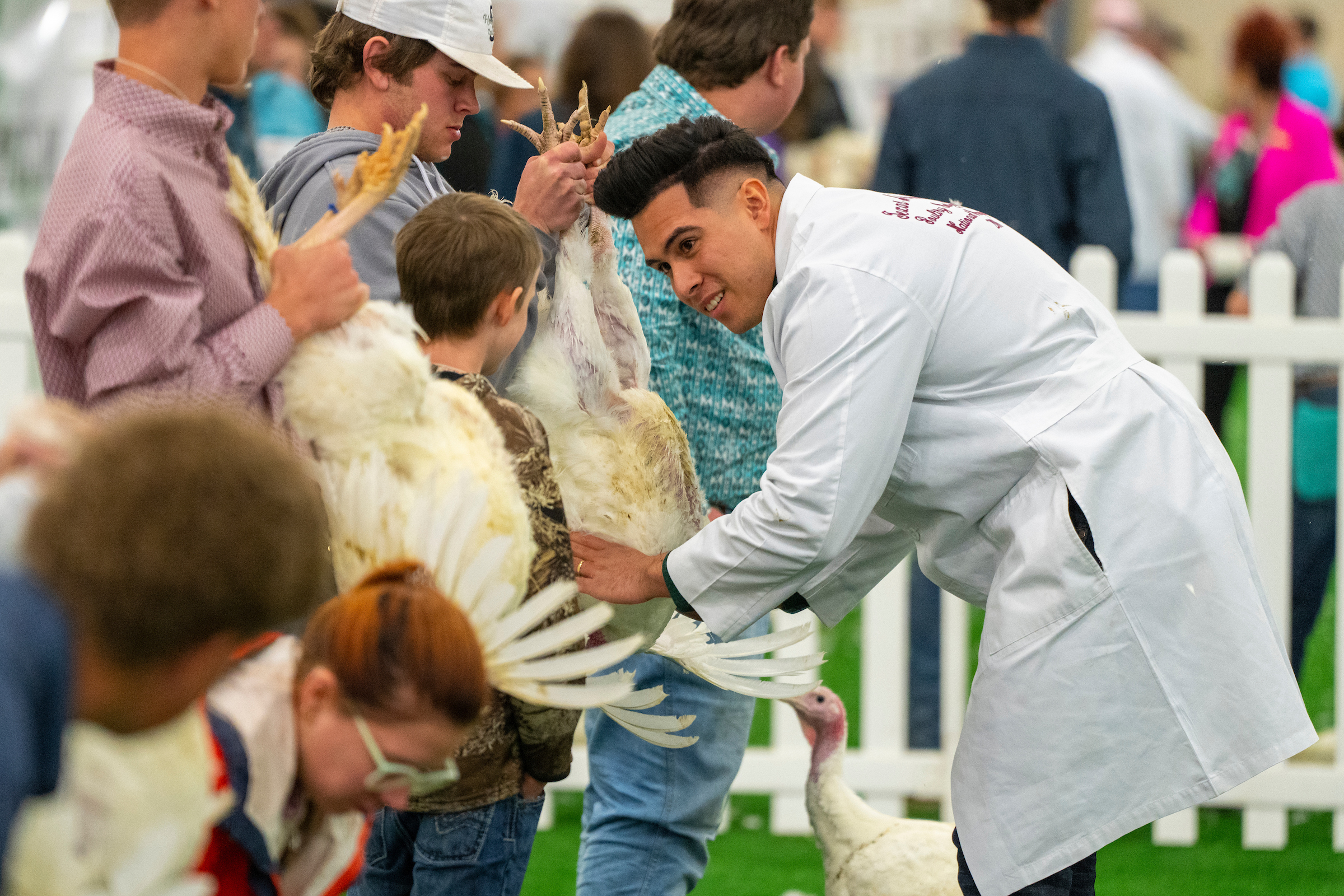 A graduate student examines a chicken held by a child during a poultry judging event