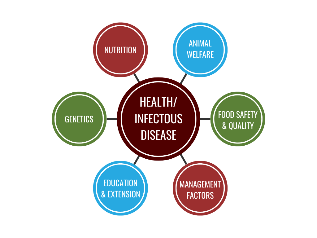 The Department of Poultry Science has six focus areas, all centered around Poultry Health and Infectious Disease: Animal Welfare, Education and Extension, Food Safety and Quality, Genetics, Management Factors, and Nutrition.