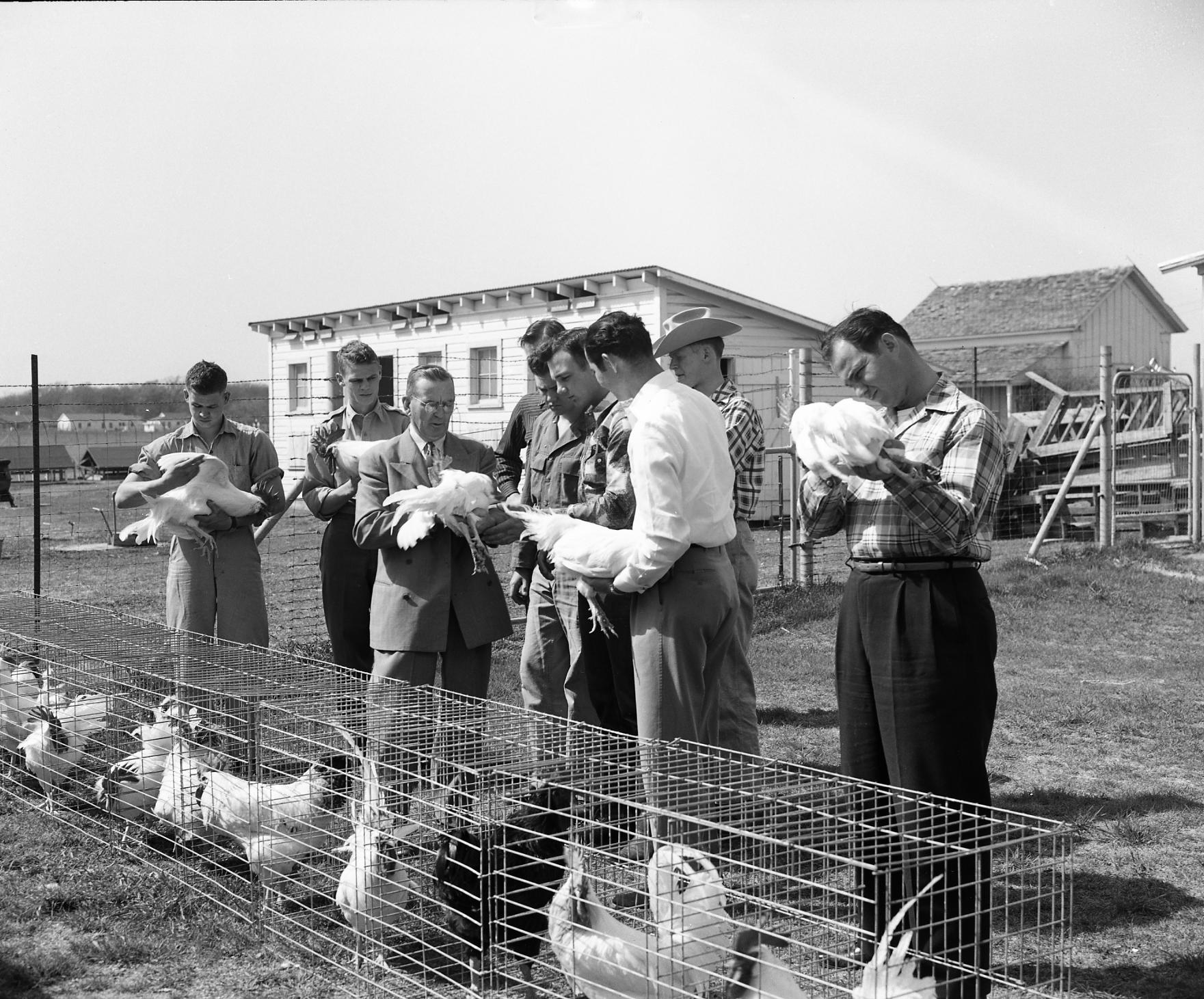 people holding chickens outside chicken coop