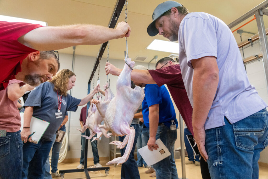 Session 3 attendees evaluating a chicken carcass at the 2024 Texas A&M summer poultry judging camp