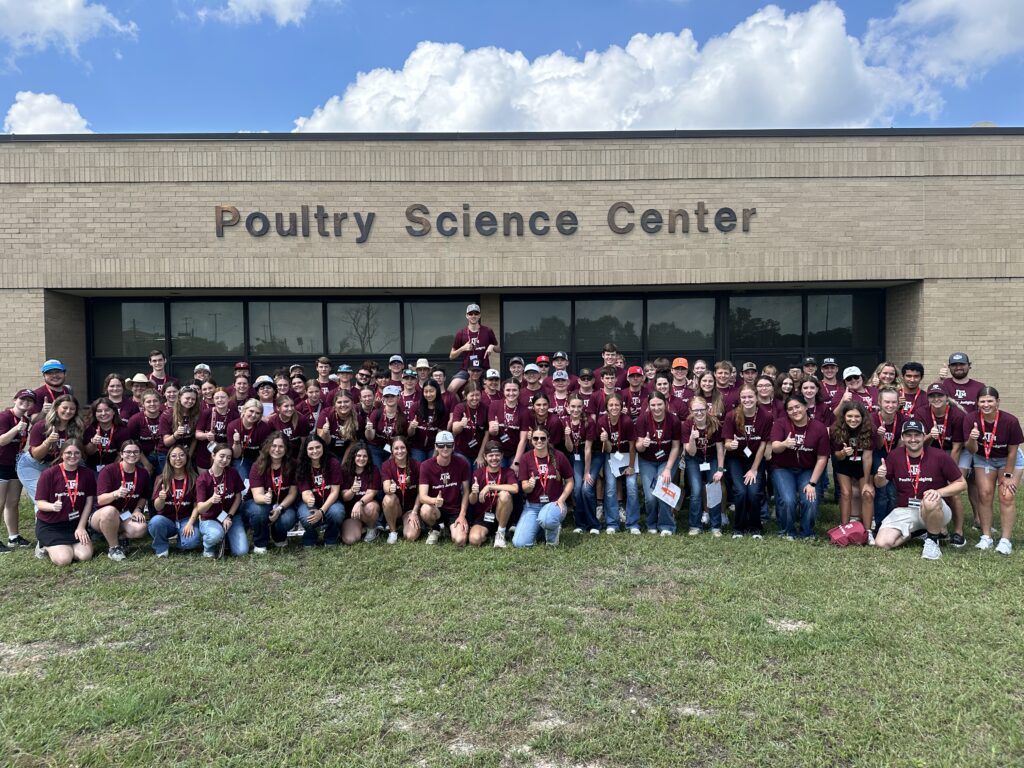 Group photo of Session 3 attendees at the 2024 Texas A&M summer poultry judging camp