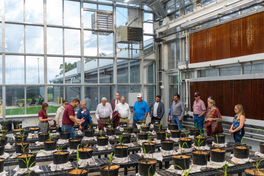 A group of people watching a demonstration in a greenhouse