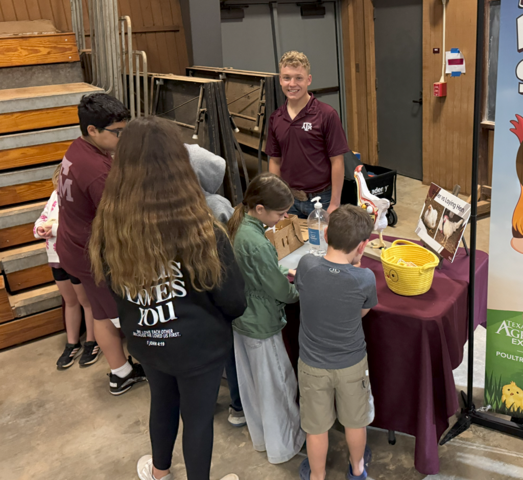 poultry science student teaches youth about poultry industry with live chicks and diagrams