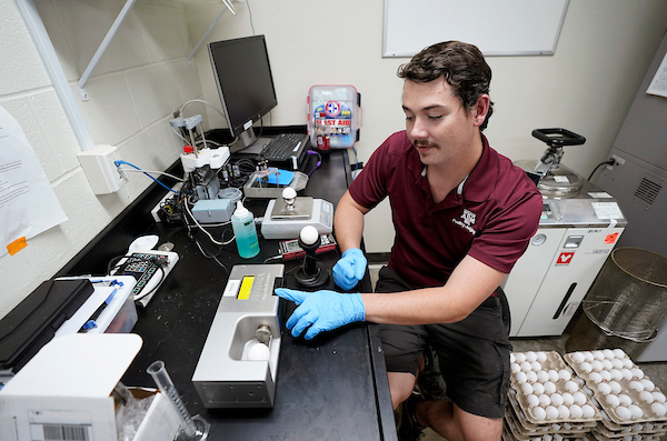 A man wearing gloves works intently at a computer in a laboratory setting.