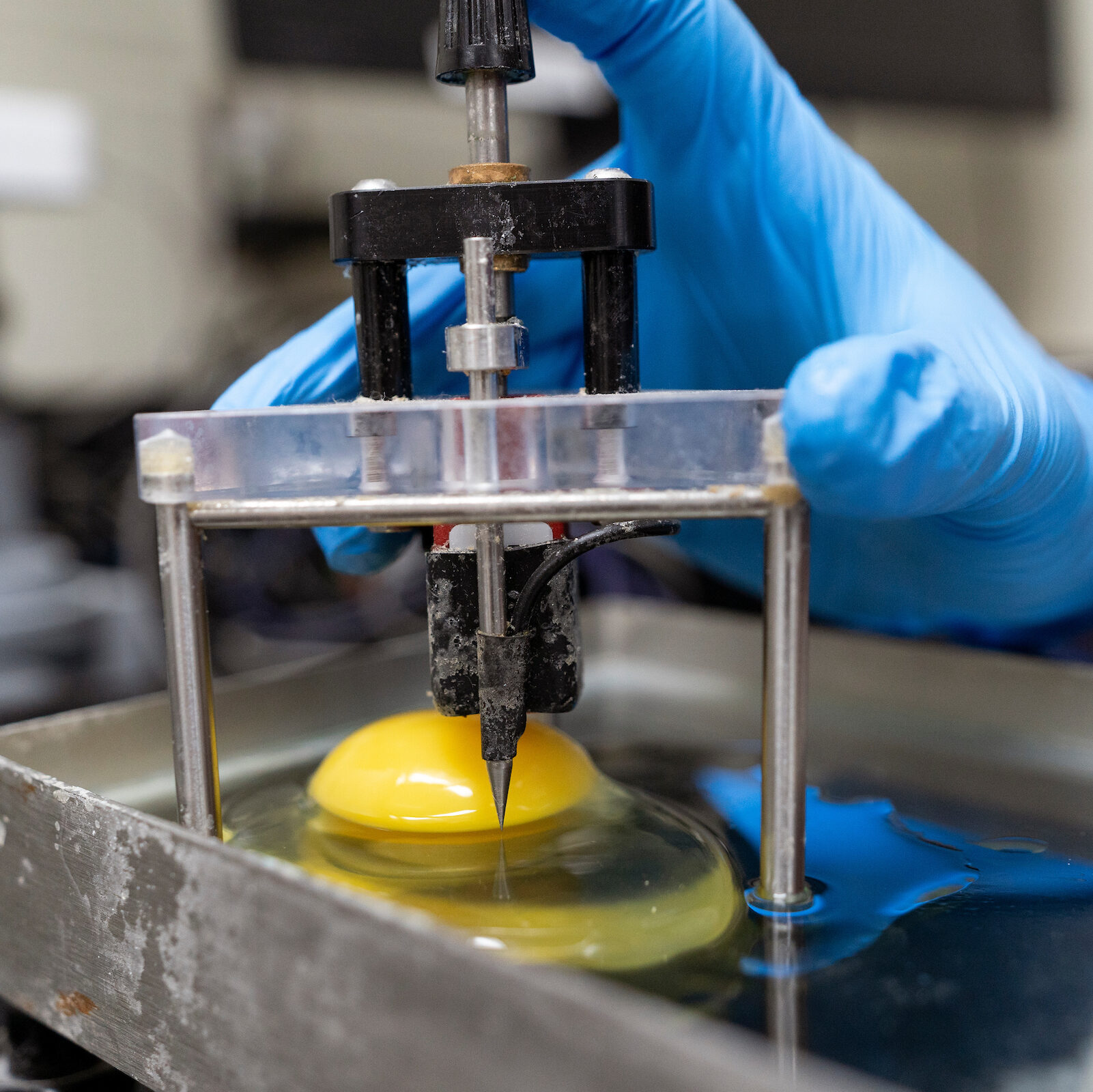 A gloved hand operates a scientific instrument puncturing an egg yolk submerged in liquid on a metal tray.