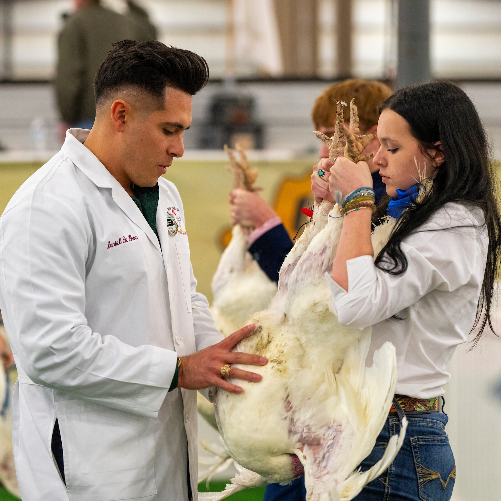 A man in a white coat examines a poultry bird held by a woman, while another person observes in the background in an indoor setting.